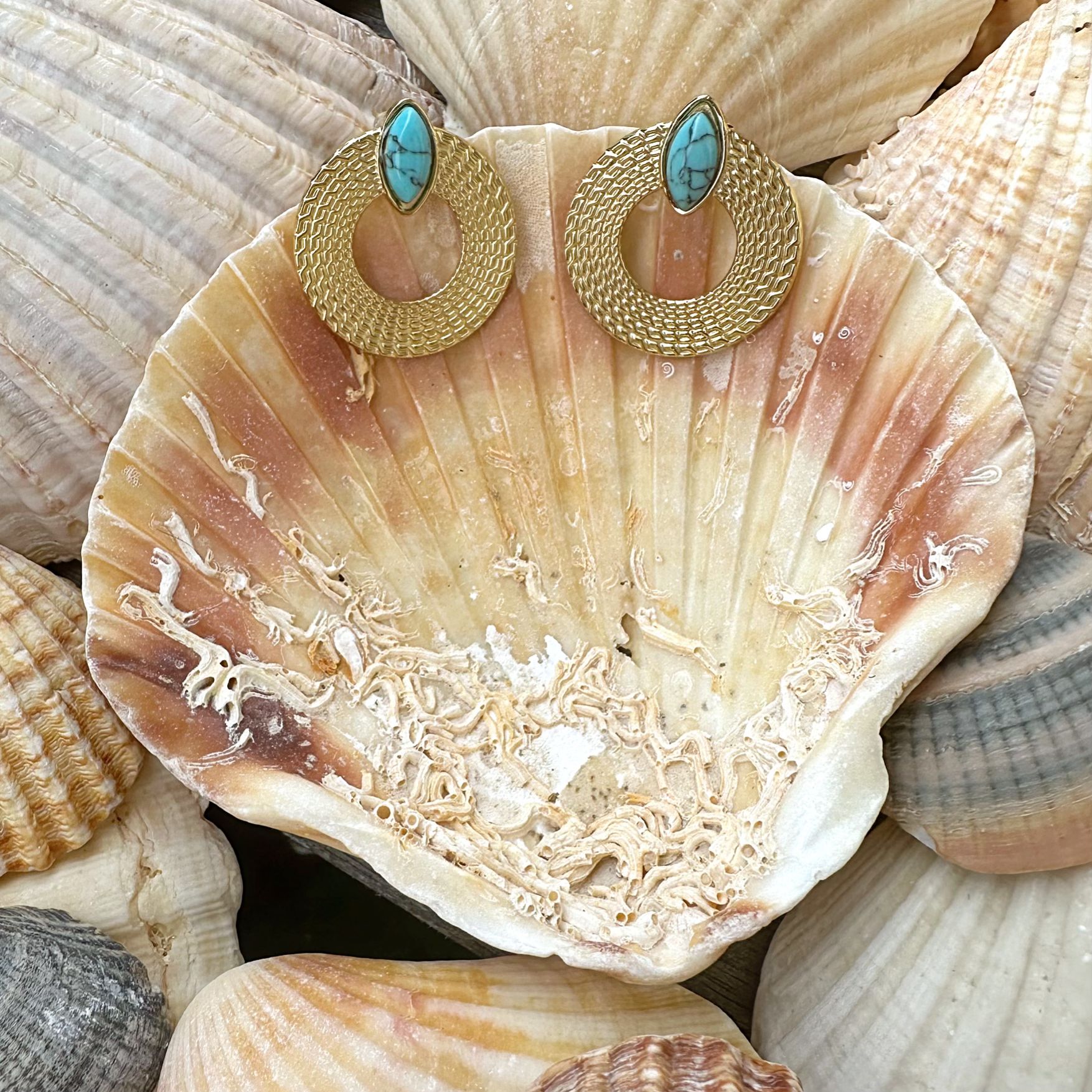 Brincos Aros